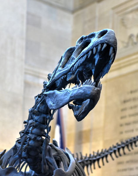 IDHF Exhibit